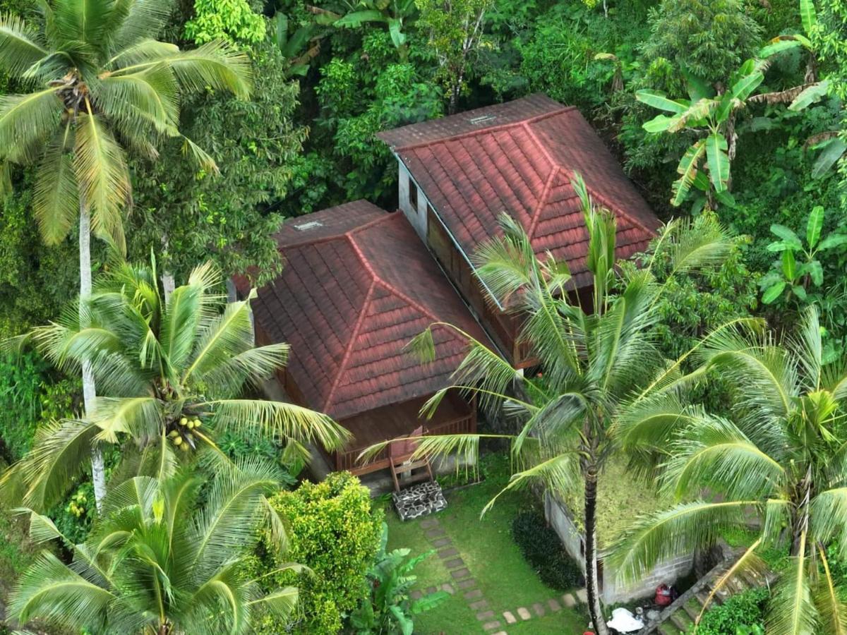 Uma D'Nyuh Homestay Singaraja Kültér fotó