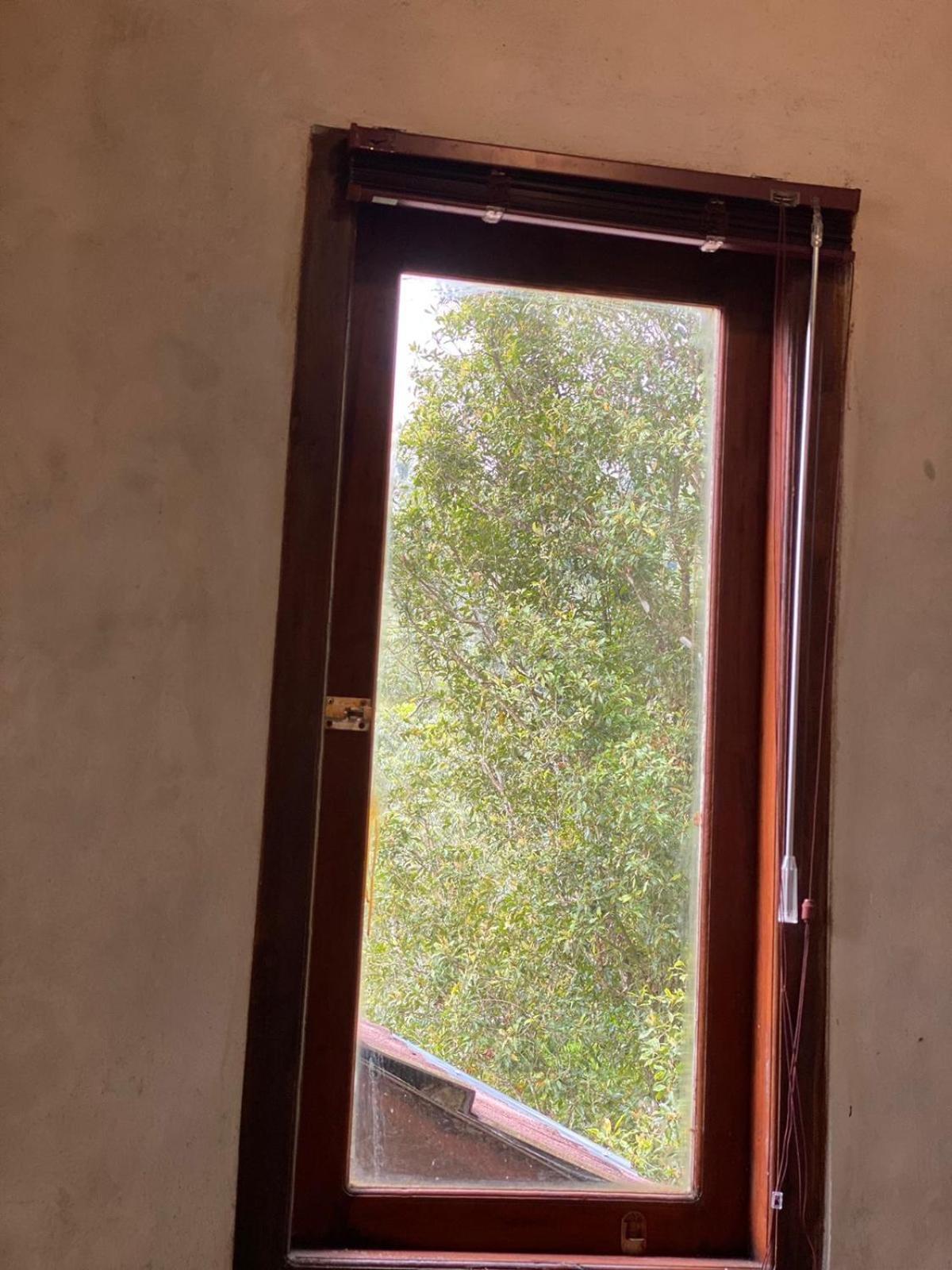Uma D'Nyuh Homestay Singaraja Kültér fotó