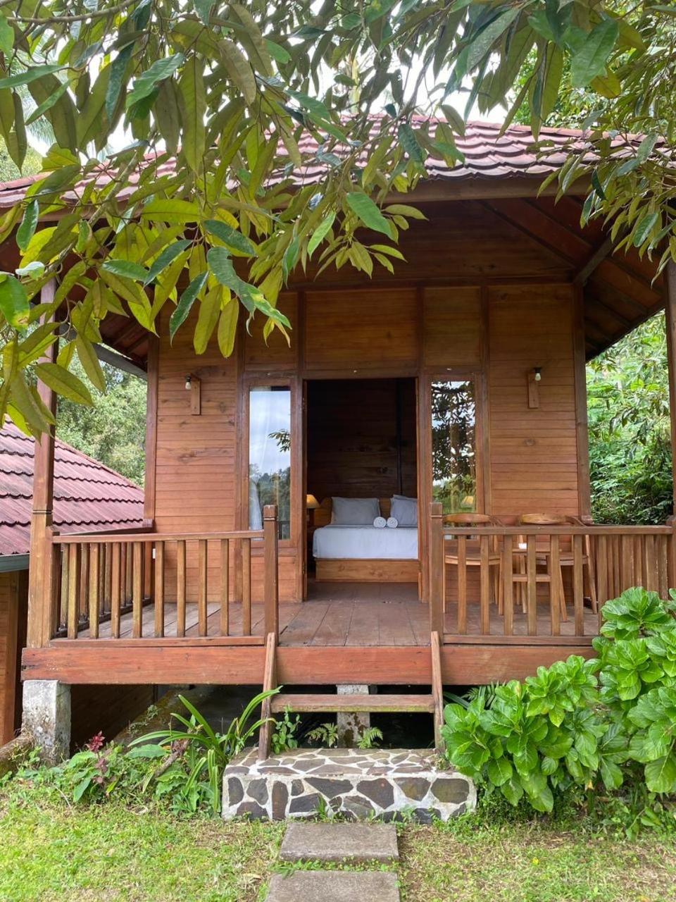 Uma D'Nyuh Homestay Singaraja Kültér fotó