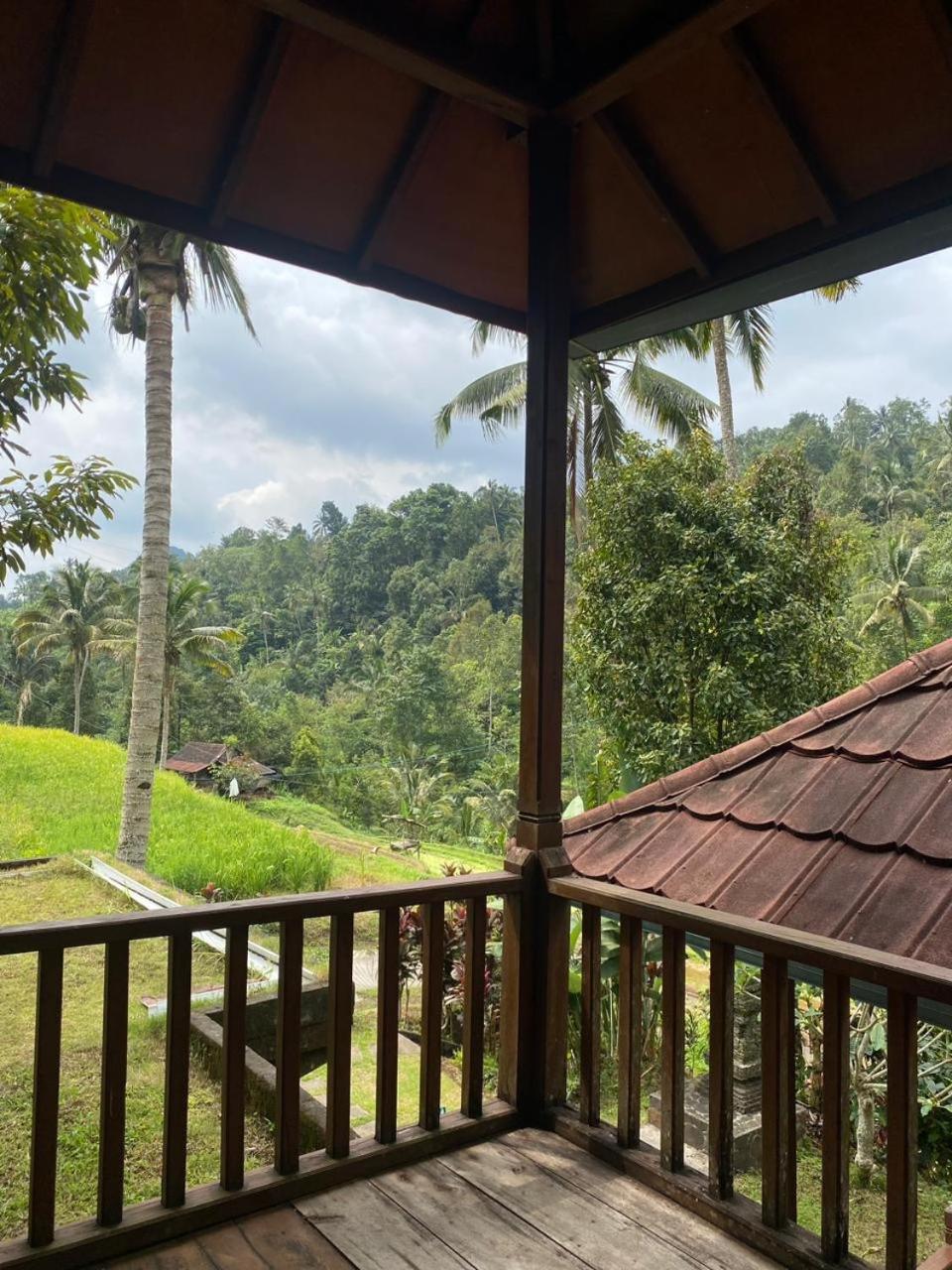 Uma D'Nyuh Homestay Singaraja Kültér fotó