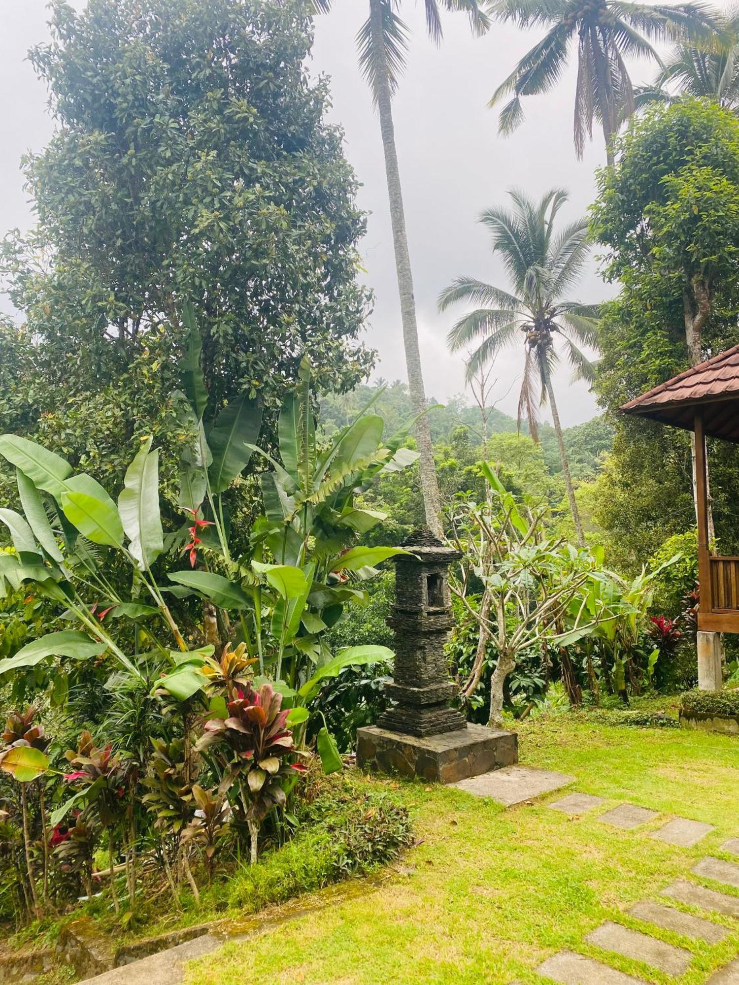 Uma D'Nyuh Homestay Singaraja Kültér fotó